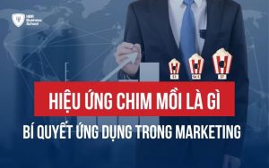 Hiệu ứng chim mồi là gì?